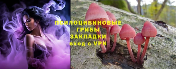ГАЛЛЮЦИНОГЕННЫЕ ГРИБЫ Армянск